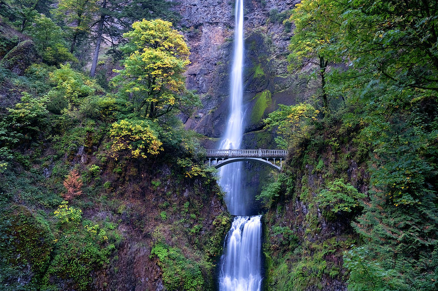 Multnomah Fall in the Fall Photograph by Christopher Johnson
