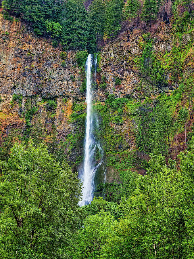 Tree Photograph - Multnomah Falls 4 by Thomas Hall