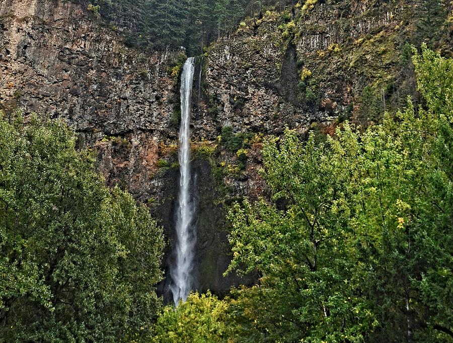 Multnomah Falls area Portland Oregon 5 Photograph by Maggy Marsh