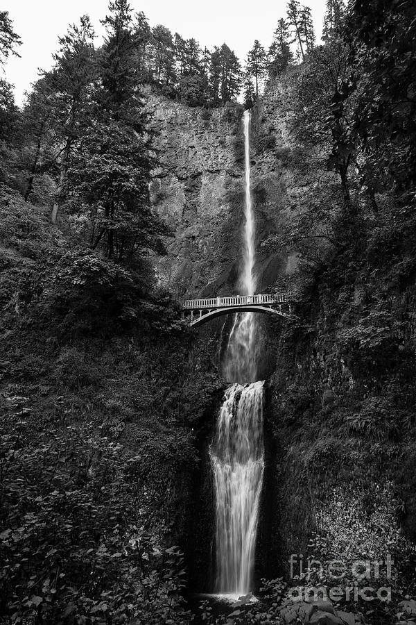Multnomah Falls B W Photograph by Jon Burch Photography