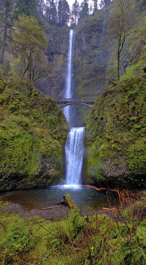 Multnomah Falls Photograph by Bob Falcone Multnomah Falls Photograph by Bob Falcone