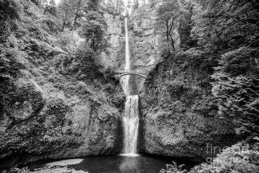 Multnomah Falls - BW Photograph by Scott Pellegrin