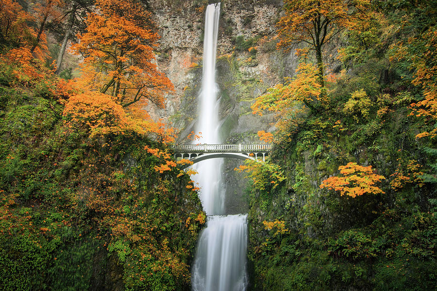 Waterfall Photograph - Multnomah Falls in Autumn by Don Schwartz