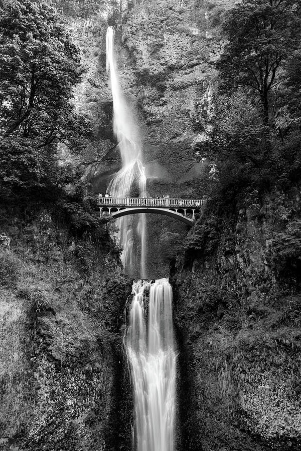 Multnomah Falls in Black and White Photograph by Christopher Johnson ...