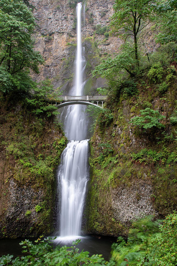 Multnomah Falls in Summer Photograph by Bruno Doddoli - Pixels