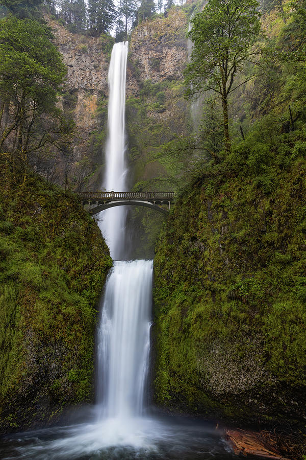 Multnomah Falls Photograph by James Marvin Phelps