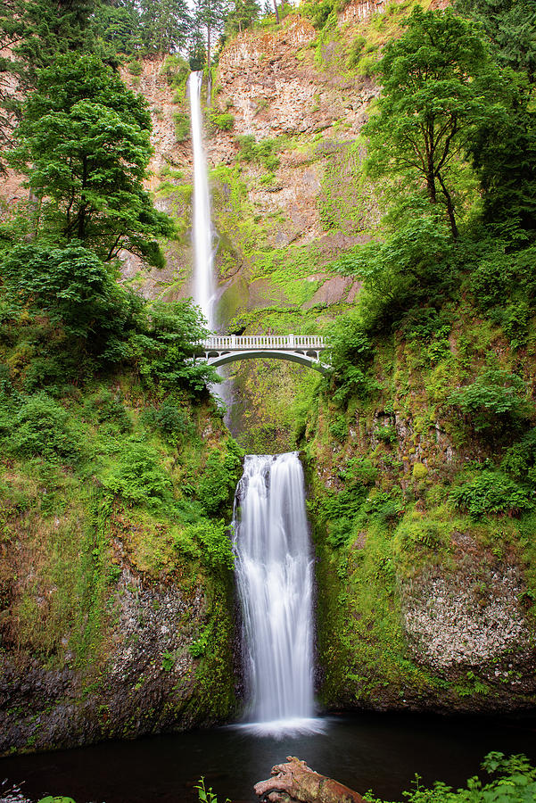 Multnomah Falls Photograph By Leilani Heying - Pixels