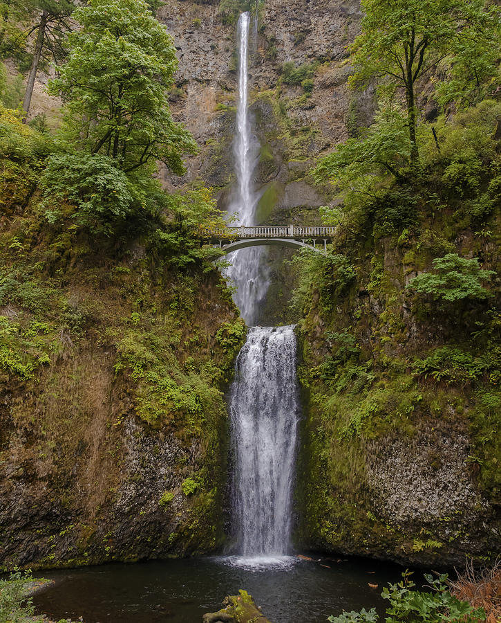 Multnomah Falls - Oregon 005 Photograph by Moelyn Photos