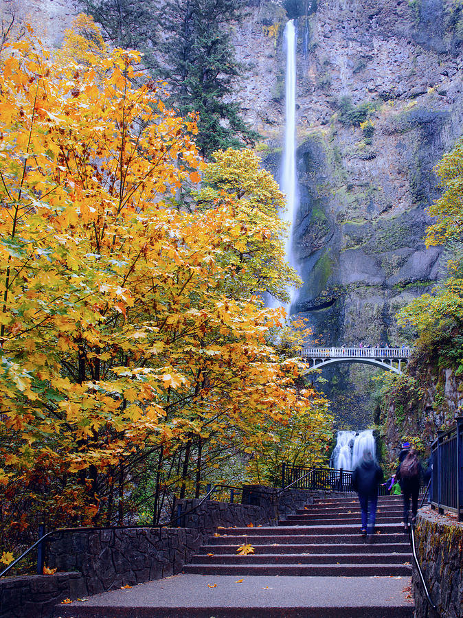 Multnomah Falls Oregon Autumn Leaves by Rospotte Photography Multnomah Falls Oregon Autumn Leaves by Rospotte Photography