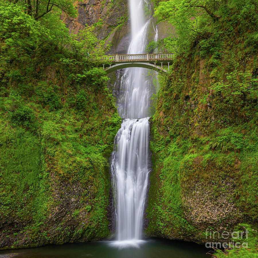 Multnomah Falls, Oregon Photograph