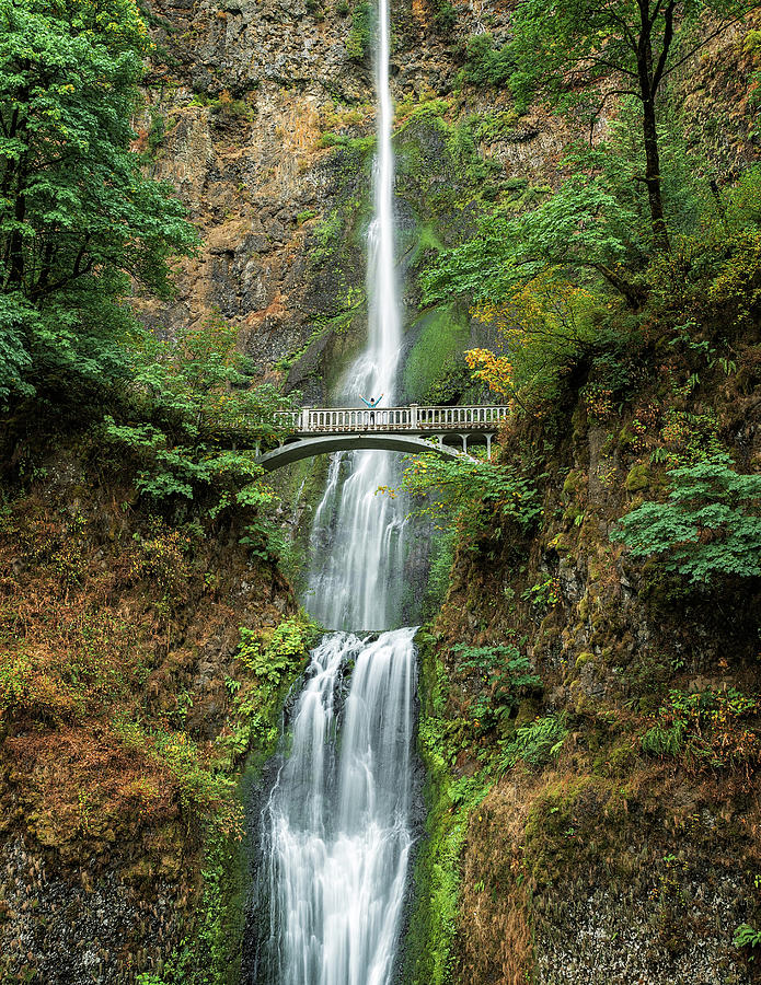 Multnomah Falls Photograph by Rudy Wilms