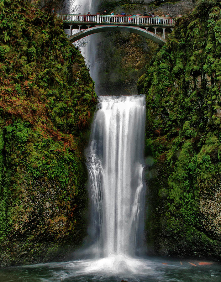 Multnomah Falls Photograph by Thomas Wilson - Fine Art America