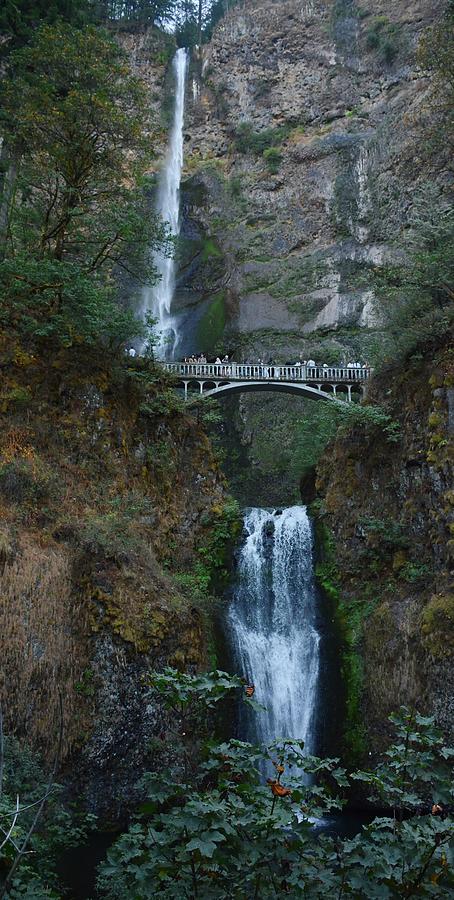 Multnomah Falls USA Oregon Fall Photograph by Maggy Marsh