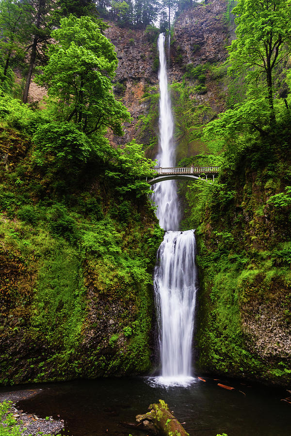 Multnomah Falls Waterfall Photograph by Terri Morris | Fine Art America