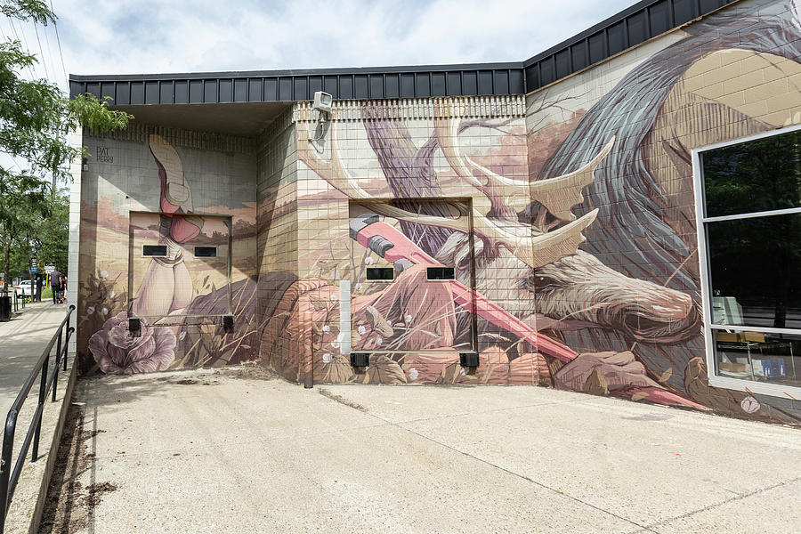 Mural in Grand Rapids 2 Photograph by John McGraw