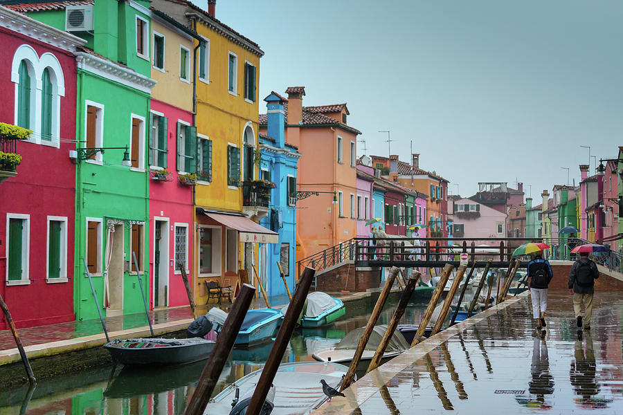 Murano Colourful Streets in the Rain Photograph by Andrew Lalchan