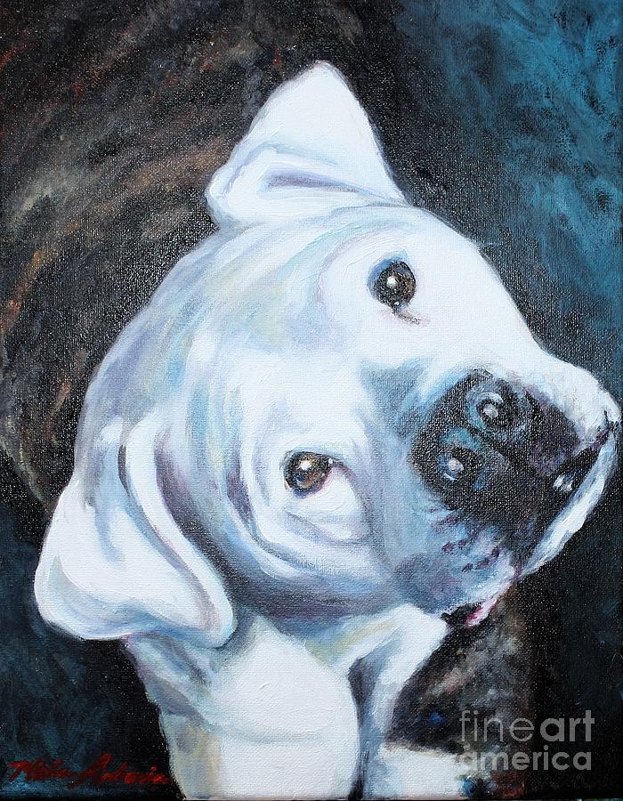 Dog Painting - Murphy by Misha Ambrosia