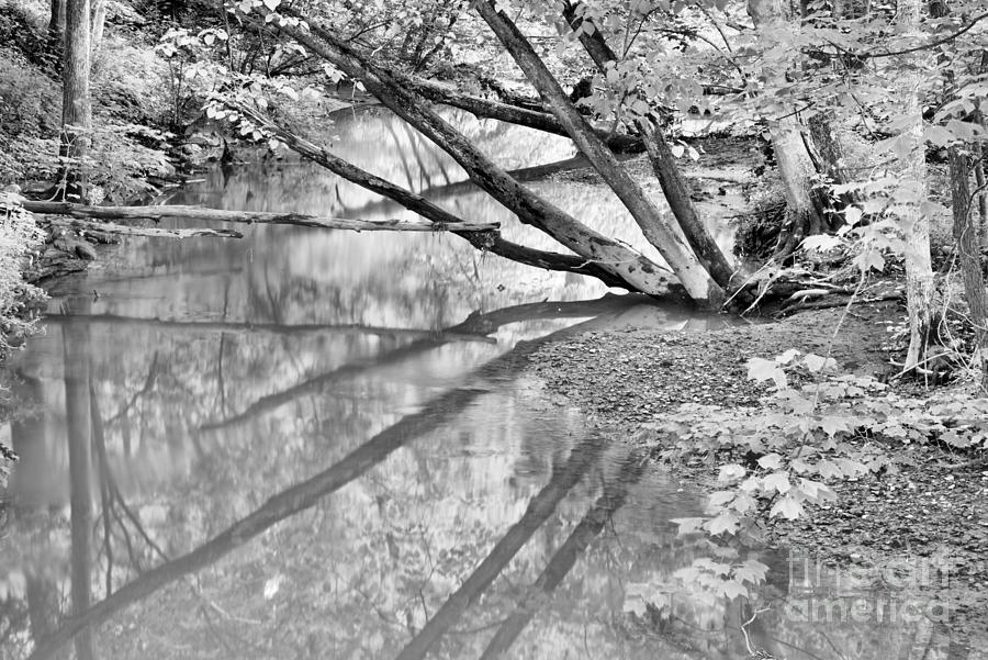 Murrysville Bike Path Reflections Black And White Photograph by Adam Jewell