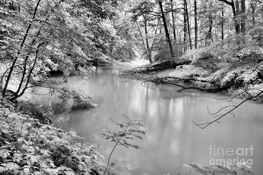Murrysville Turtle Creek Lush View Black And White Photograph by Adam Jewell