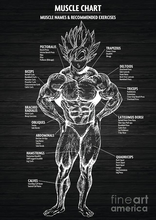 Schedule templates anime by;laa Naruto Shippuden | Kartu catatan, Ilustrasi  buku, Kartu lucu