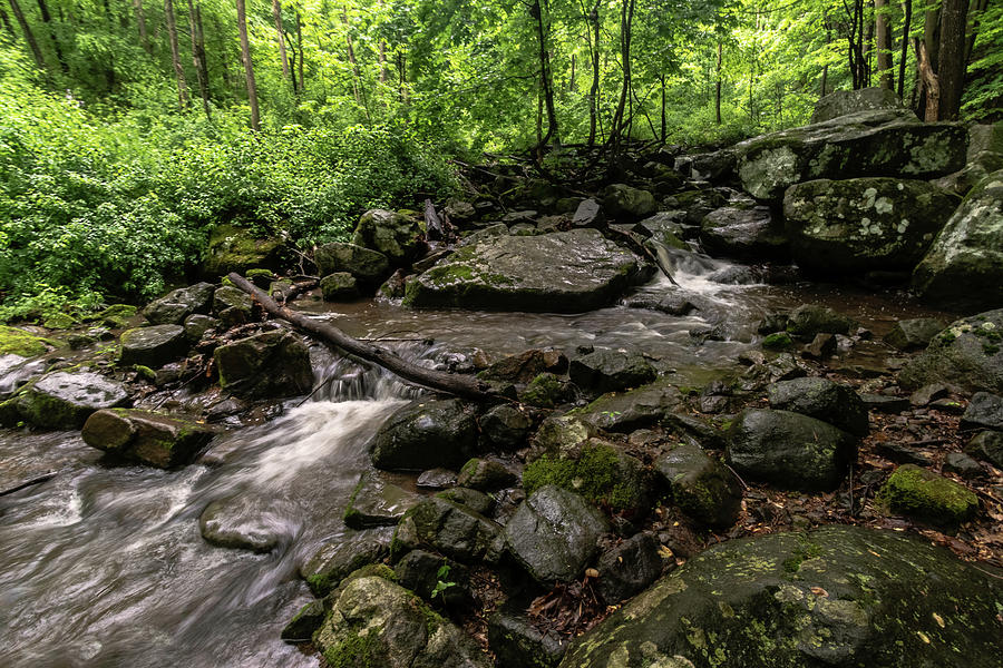 Musconetcong River Gorge 1 Photograph by Steven Richman - Fine Art America