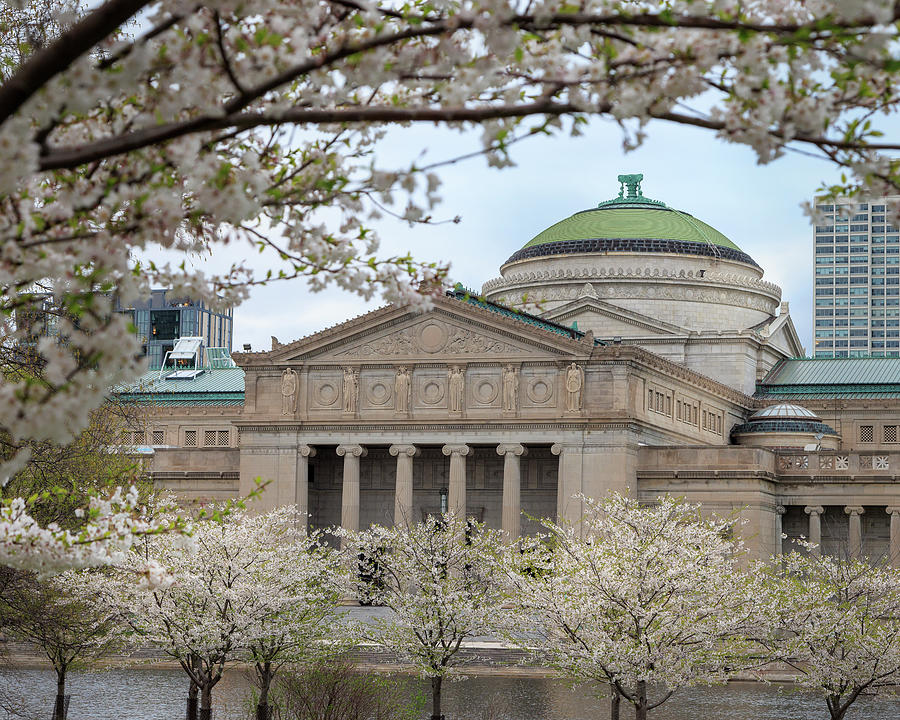 Museum of Science and Industry in Spring Photograph by Adam Romanowicz