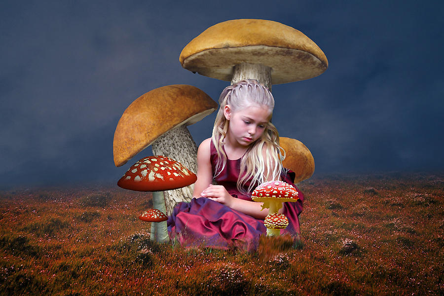 Mushroom Field Dream Mixed Media by Marvin Blaine
