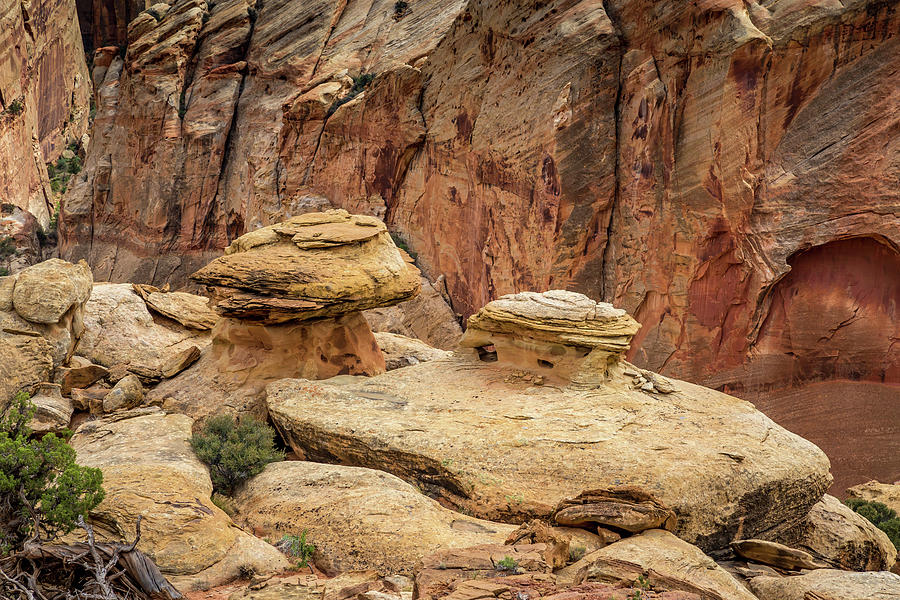 Mushroom Hoodoos of Capitol Reef Photograph by Pierre Leclerc Photography