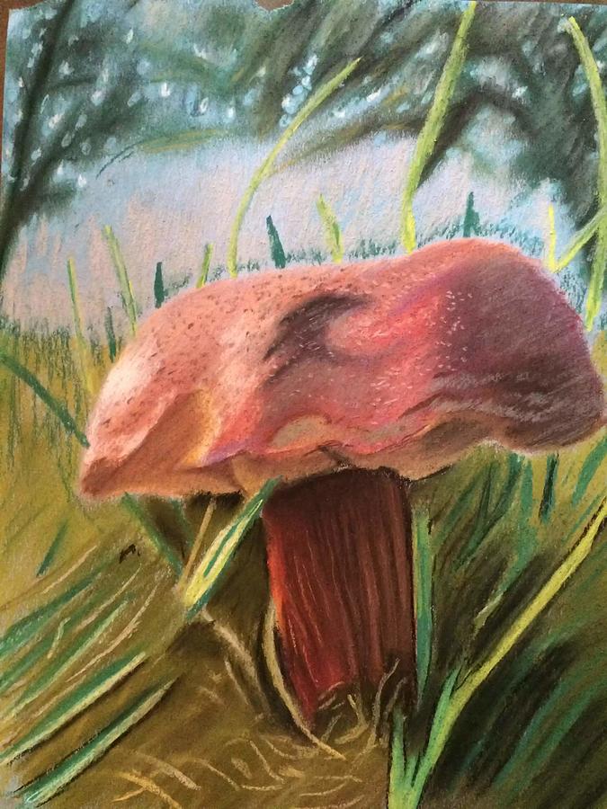 Mushroom Pastel - Mushroom in the Yard by John Boyd