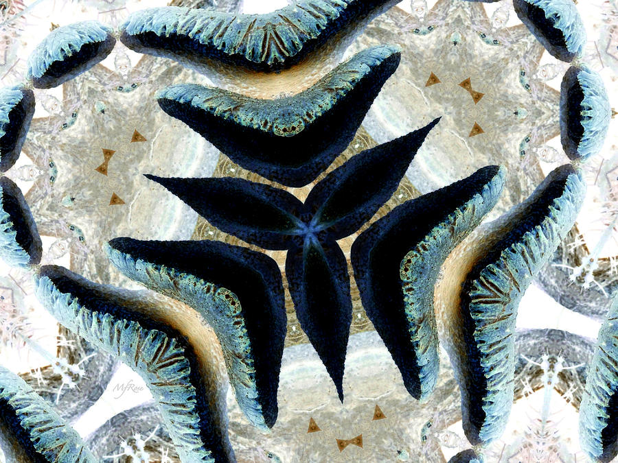 mushroom kaleidoscope