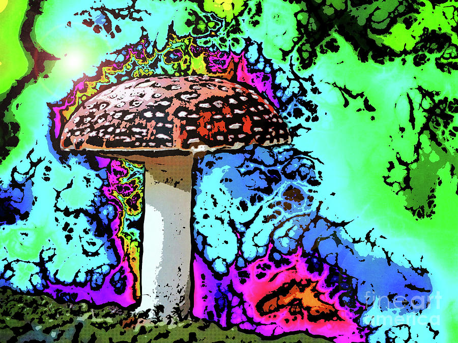 Mushroom Digital Art by Phil Perkins