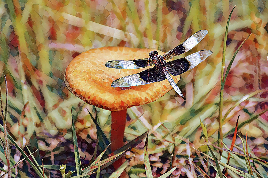 Mushroom Rest Station Digital Art