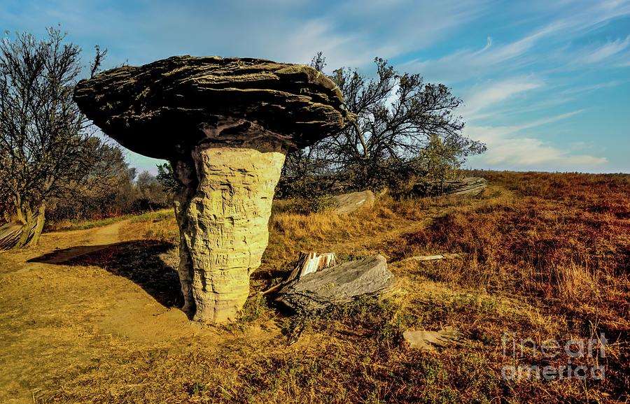 Mushroom Rock Photograph by Jon Burch Photography