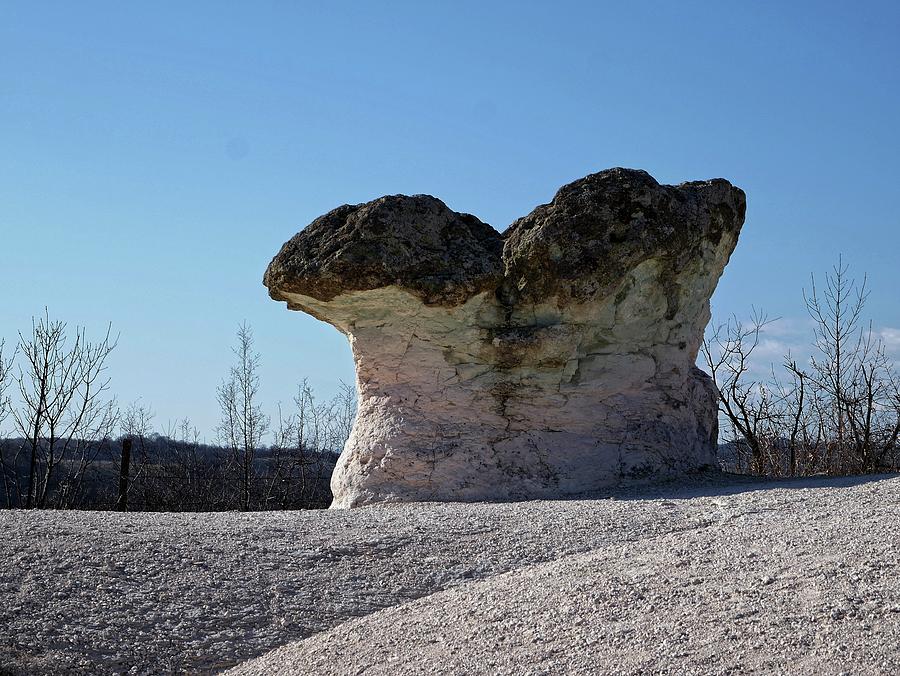 Mushroom rock Photograph by Martin Smith