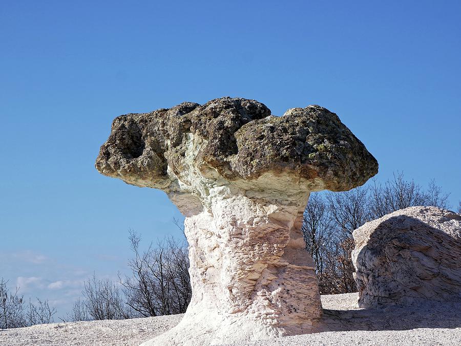 Mushroom rocks Photograph by Martin Smith