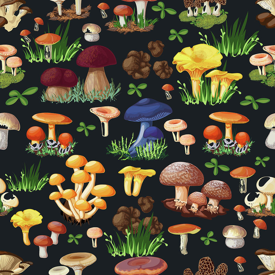 Mushroom Seamless Pattern Painting by Tony Rubino