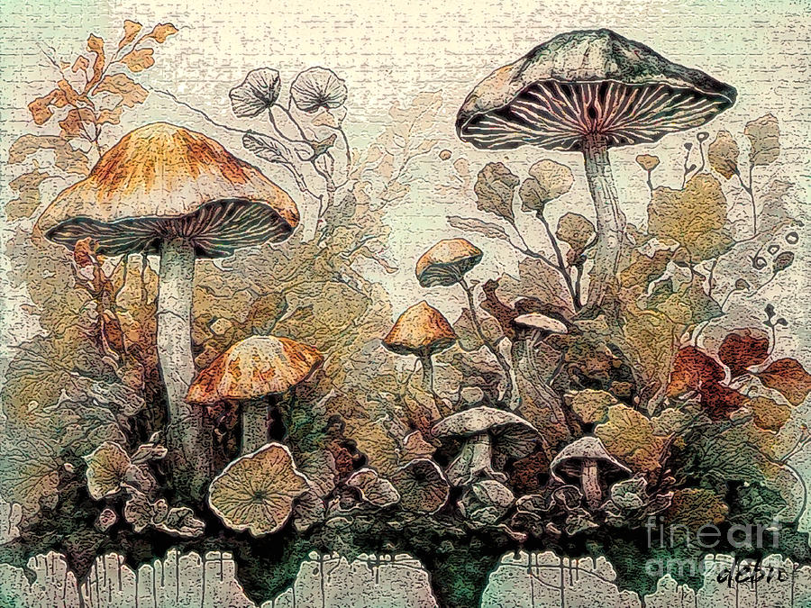 Mushrooms 1 Digital Art by Deb Nakano