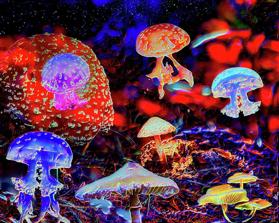 Mushrooms and Jellyfish Digital Art by Norman Brule