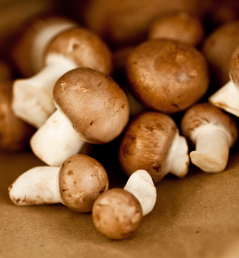 Mushrooms Photograph by Carolafink