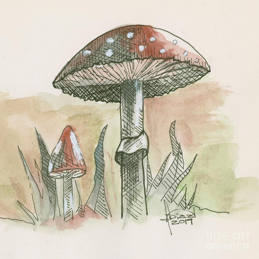 Mushrooms Drawing By Fanny Diaz