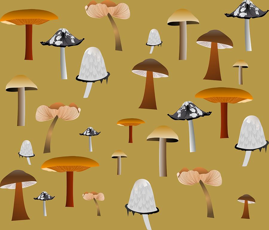 Mushrooms Many Digital Art by Emmie Norfolk | Fine Art America