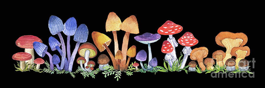 Mushroom Painting - Mushrooms many by Nonna Mynatt