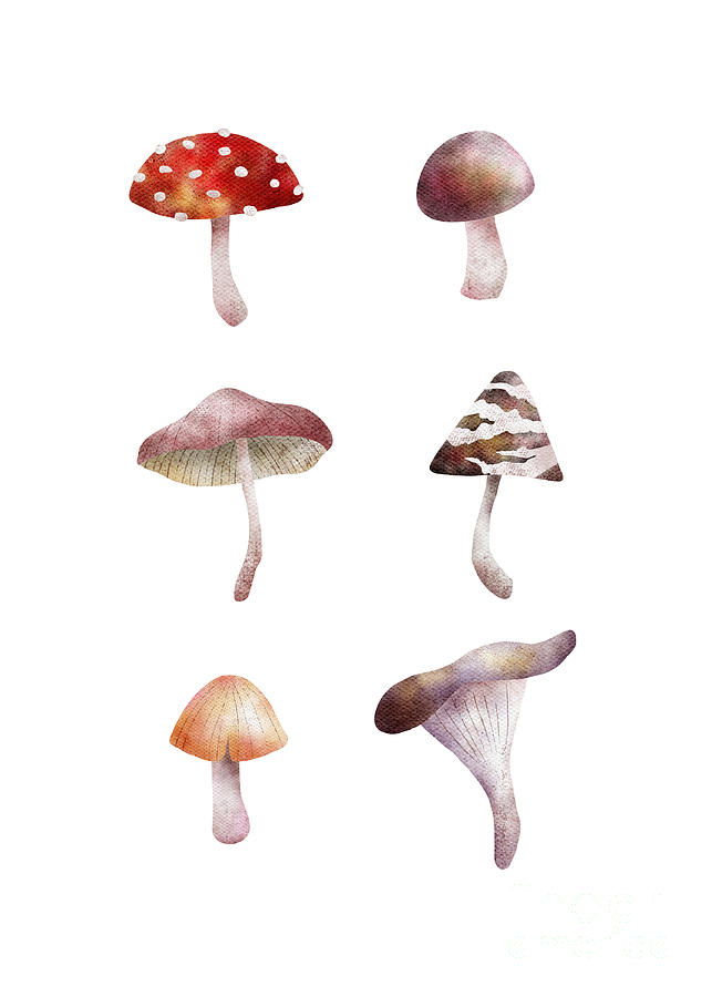 Mushrooms Digital Art by Chiho Watanabe