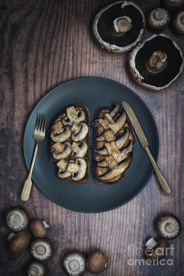 Mushrooms on Toast Photograph by Tim Gainey