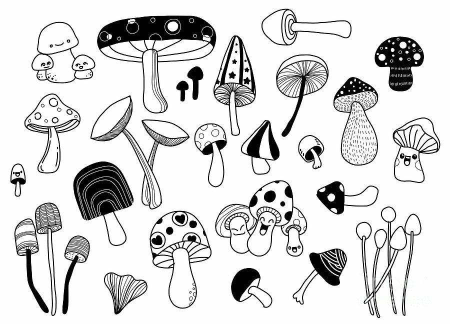 Mushrooms set. Hand drawn style illustration Digital Art by Pakpong ...