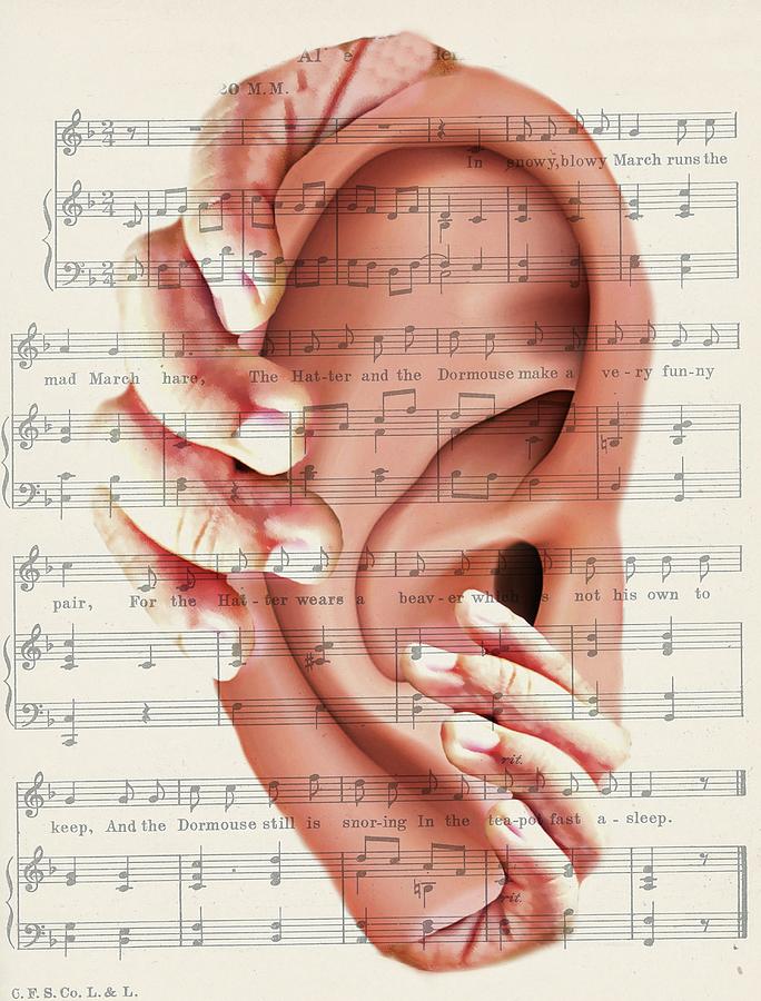 Playing Music By Ear Photograph by Diana Angstadt