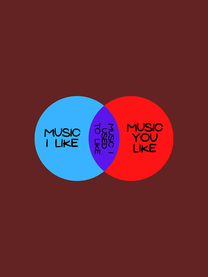 music i like music you like venn diagram shirt