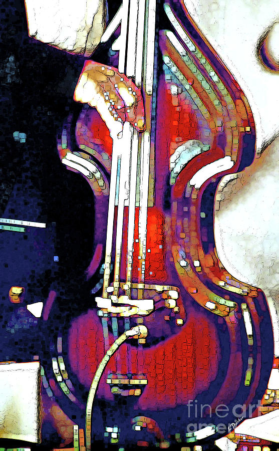 Music Man Bass Violin Photograph by Linda Parker