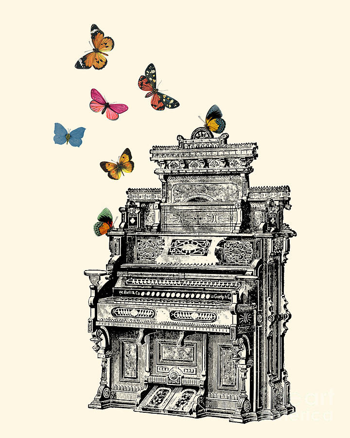 Music Mixed Media - Music organ and butterflies by Madame Memento