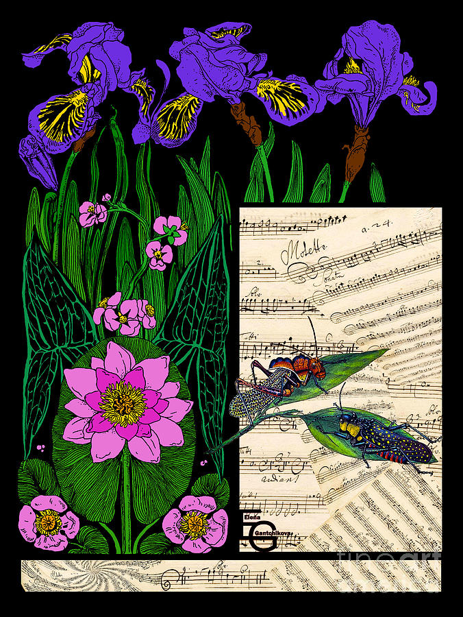 Musical art Musical score Music collage style Art Nouveau irises water lilies grasshoppers and fly  Mixed Media by Elena Gantchikova